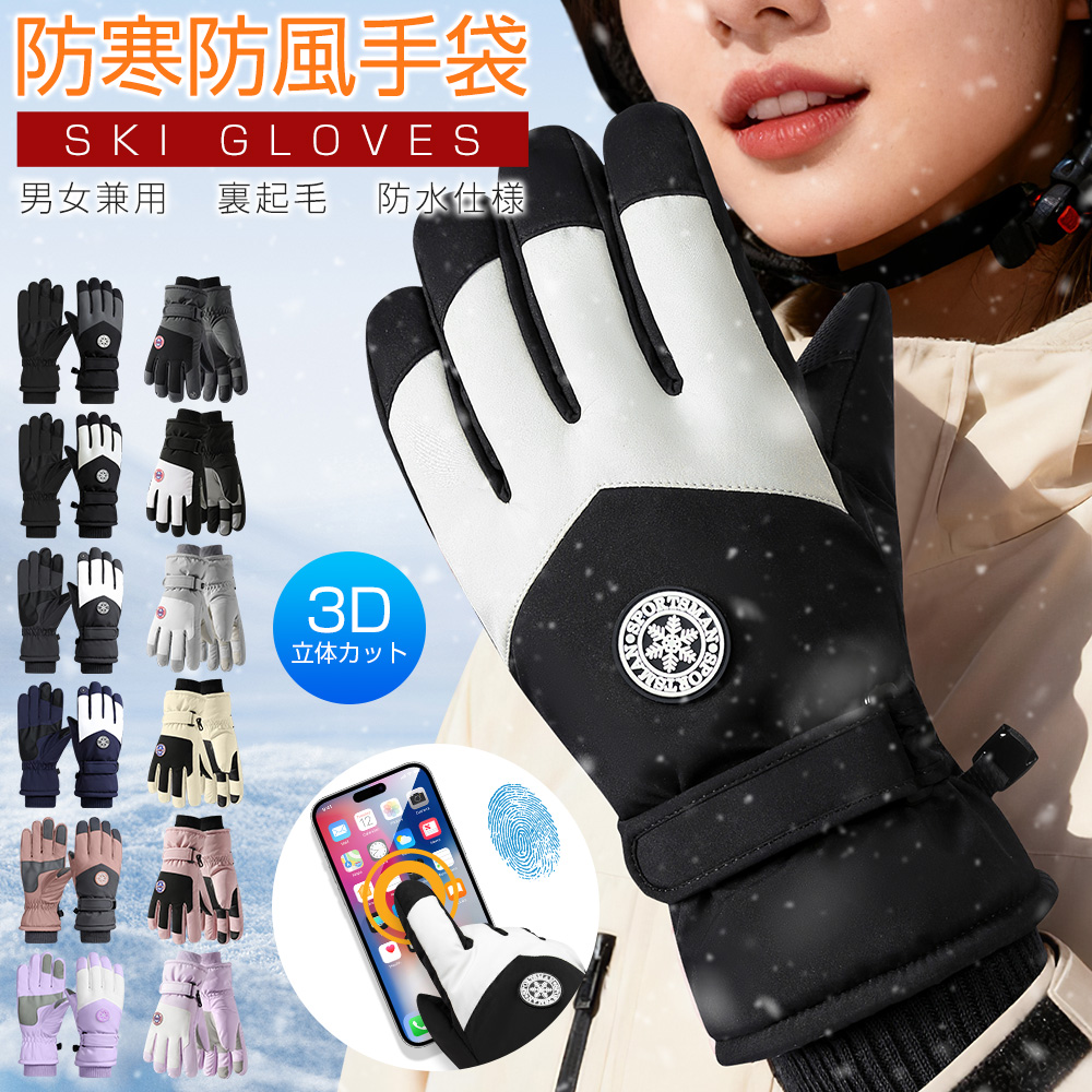 スキーグローブ